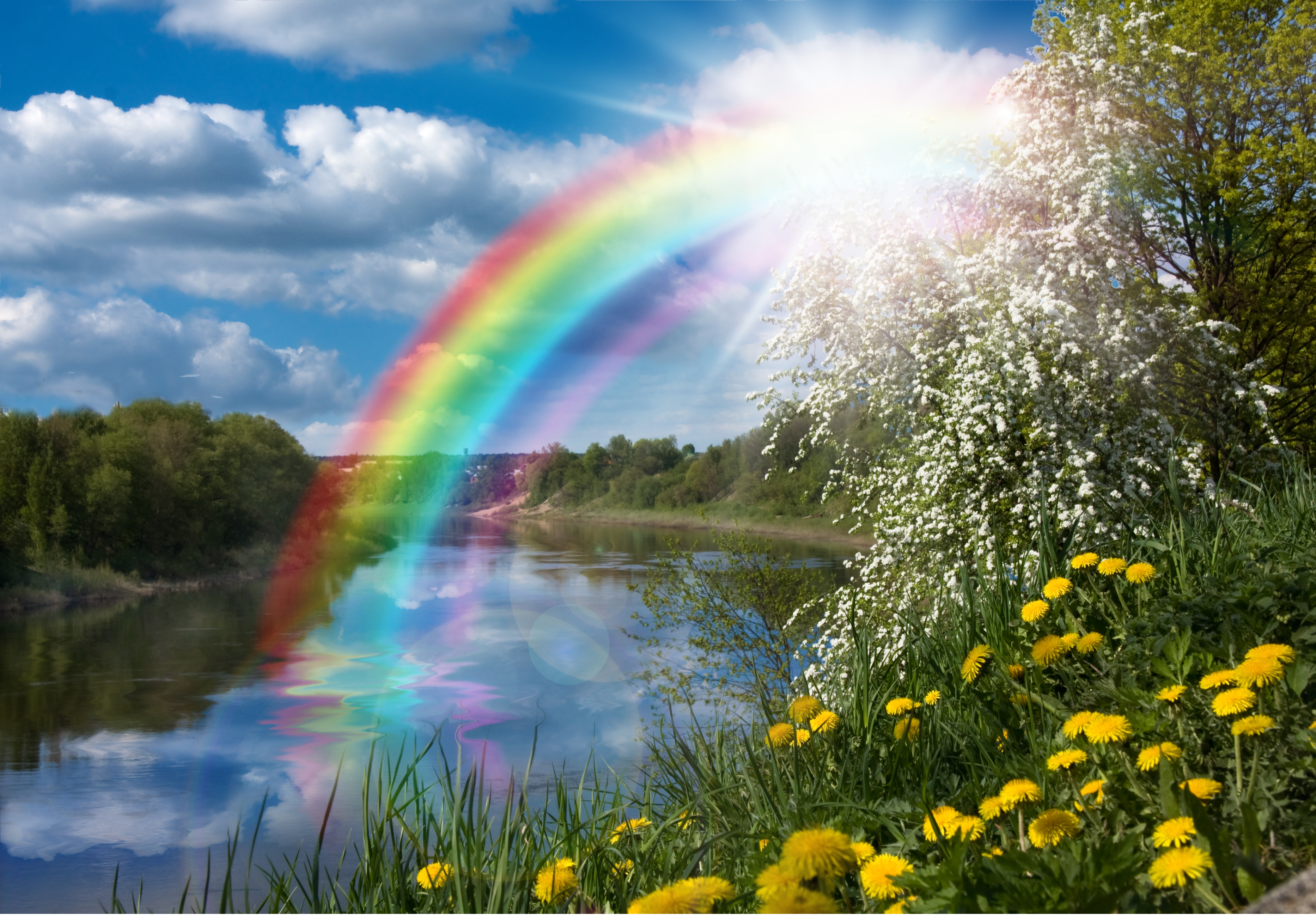 seeing-rainbows-www-ase-uk